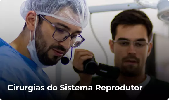 Cirurgias do Sistema Reprodutor