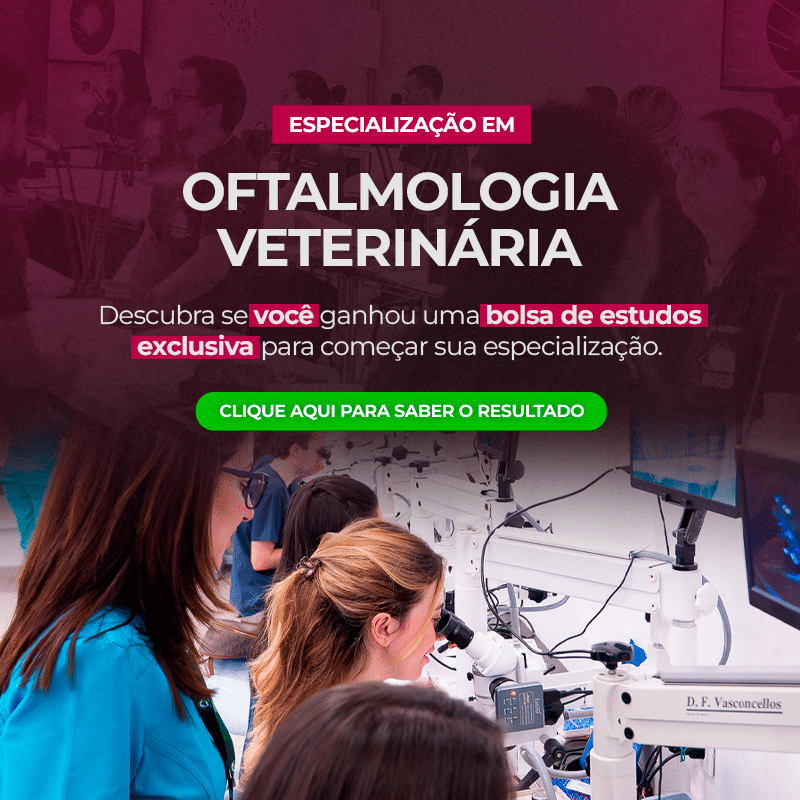 Thumb Mobile - 2025-10-13T132007.542