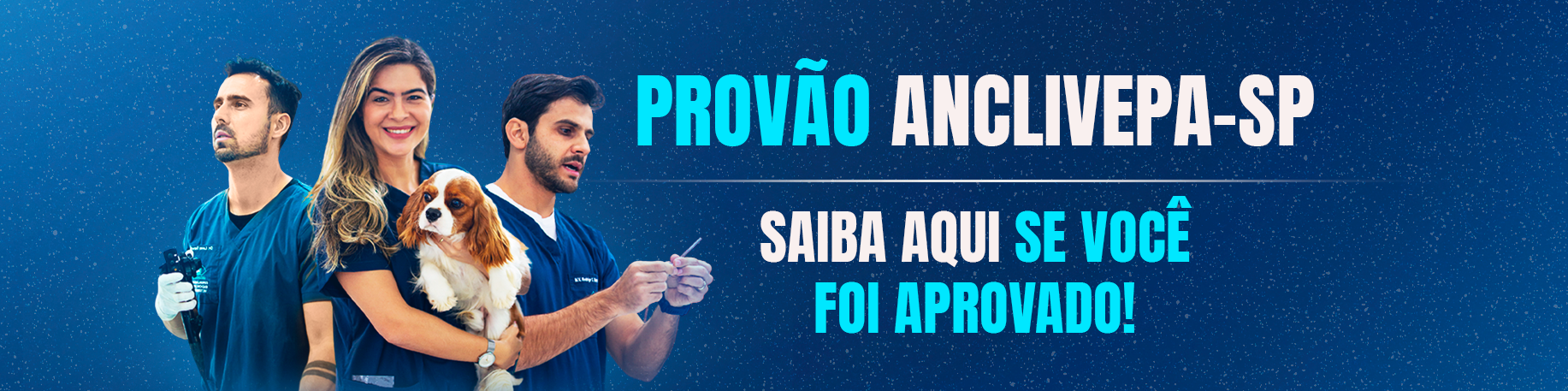 Thumb Desktop Provão (2)