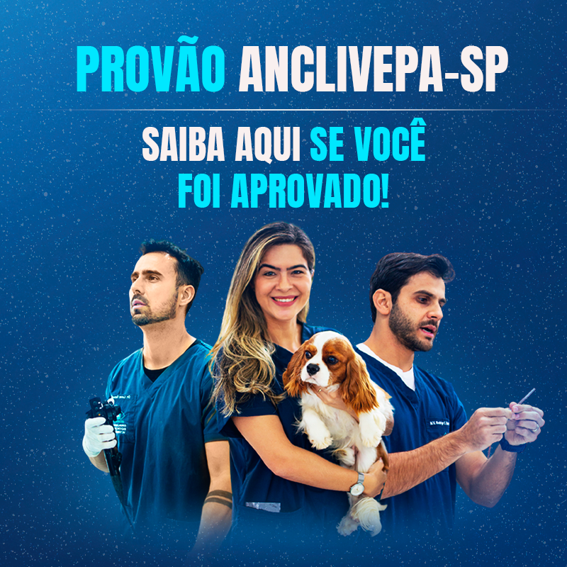 Thumb Mobile Provão (2)