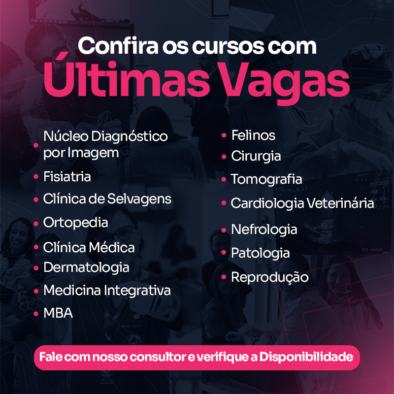 800X800-ÚLTIMASVAGAS