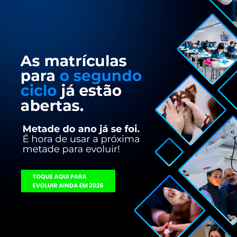 LP Ciclo de Agosto - Banner Mobile